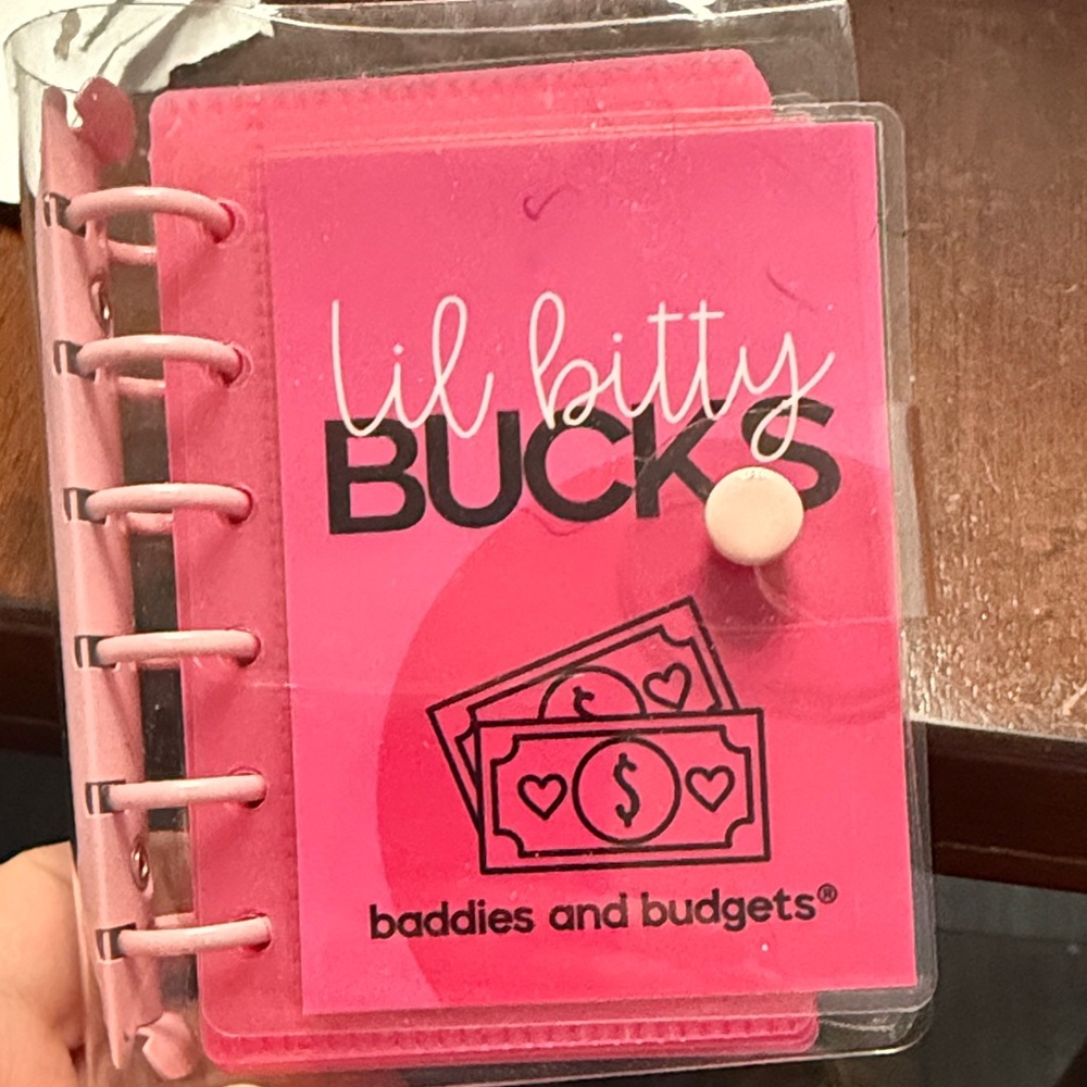 Lil Bitty Bucks Pink Budget Planner -